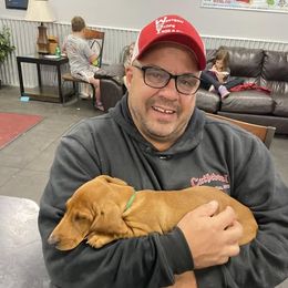 Dachshund Puppies from M & M Breeding