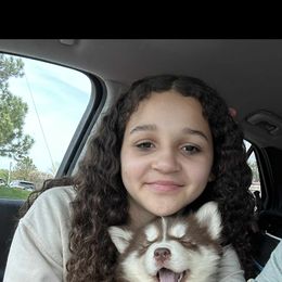 Pomsky and Siberian Husky Puppies from Osiris’s Siberians & Pomskies