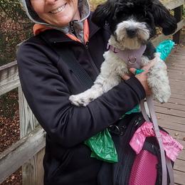 Bernedoodle, Cavapoo, Havanese, and Havapoo Puppies from Lady Paws Puppies - Cassie