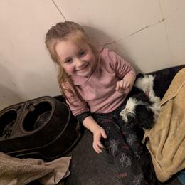 Australian Shepherd and Great Dane Puppies from AEW Farm