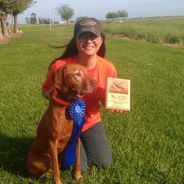 Vizslas from Vizslas