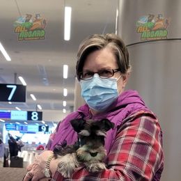 Miniature Schnauzer Puppies from A'Lord Miniature Schnauzer