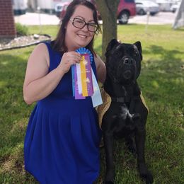 Fish - Cane Corso
