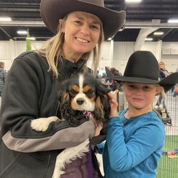 Cavalier King Charles Spaniel Puppies from Mapleview Cavalier King Charles Spaniels