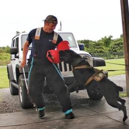 Cane Corso and Dogues de Bordeaux from Wrinkled Bliss Kennels