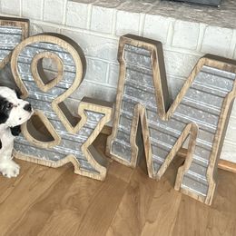 Cocker Spaniel Puppies from K&M crocker Spaniels