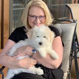 Coton de Tulear Puppies from Classy Cotons