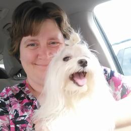 Snowflake - Maltese