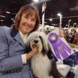 Tashi - Tibetan Terrier