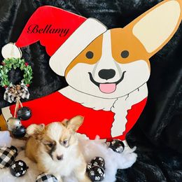 Bellamy - Sable female Pembroke Welsh Corgi puppy in Cashion, Oklahoma from Shabby Chic Corgis