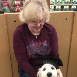 Goldendoodle Puppies from Plantation Puppies