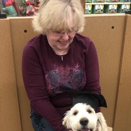 Goldendoodle Puppies from Plantation Puppies