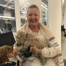 Cockapoo Puppies from Maple’s Cockapoo Puppies