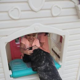 Cane Corso Puppies from JSM Corsos