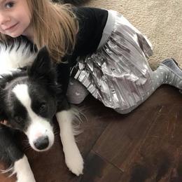 Border Collie Puppies from BMW Border Collies