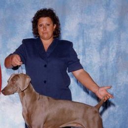 Doberman Pinschers and Weimaraners from Megan Dollinger