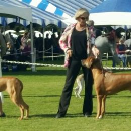Affenpinschers and Rhodesian Ridgebacks from Tamari Affenpinchers and Oakhurst Rhodesians