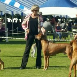 Affenpinschers and Rhodesian Ridgebacks from Tamari Affenpinchers and Oakhurst Rhodesians
