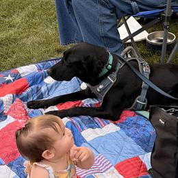 Beth - Black female Labrador Retriever puppy in Alger, Ohio from Osborne Family Retrievers