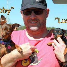 Miniature Pinschers from Ze-Whi's Miniature Pinscher