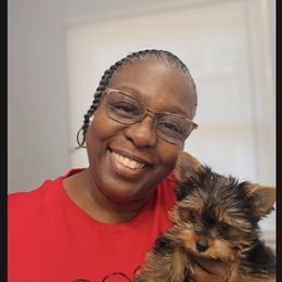 Biewer Terrier and Yorkshire Terrier Puppies from South Georgia Yorkies and Biewers