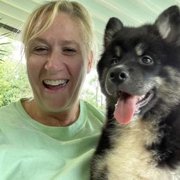 Pomsky Puppies from PomskyParadise