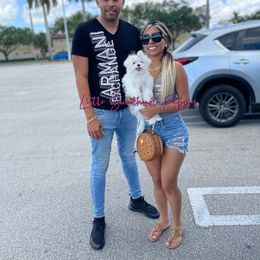 Goldendoodle and Maltese Puppies from Little Sweetheart Puppies