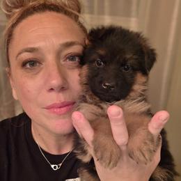 Cristal Stella Lumière Elite Von Haus (White Collar) - Black and red female German Shepherd puppy in Grants Pass, Oregon from Elite Von Haus German Shepherds
