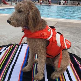 Goldendoodle Puppies from Penny Doodles