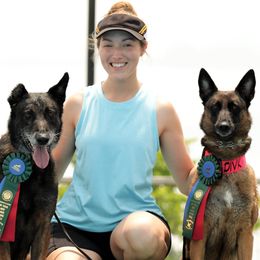 Belgian Malinois from Izac's Home Belgian Malinois