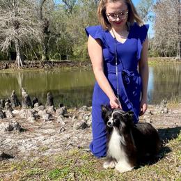 Chinese Crested puppies from FronkLinn Kennel