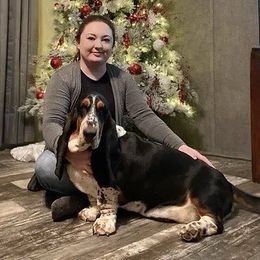 Winnie - Basset Hound