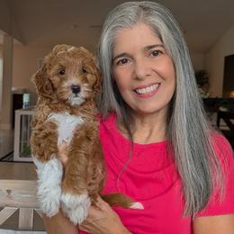Story - Red  female Goldendoodle puppy in Beverly Hills, Florida from Bundle of Joy Doodles