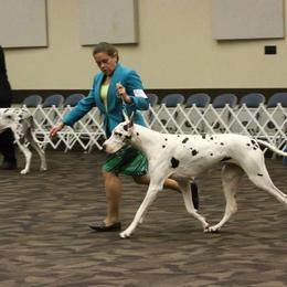 Great Dane All Grown Up from KindleFire Great Danes