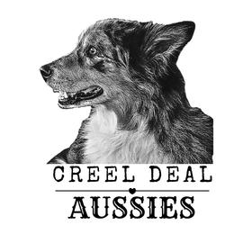 Australian Shepherds from Creel Deal Aussies