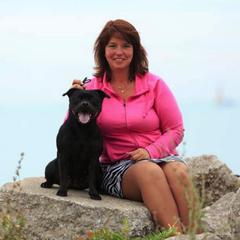 Staffordshire Bull Terrier All Grown Up from Ciera Staffords