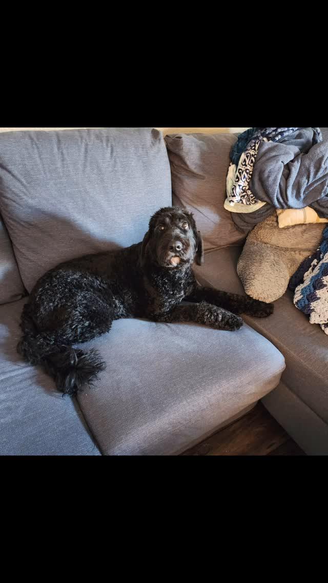 Kona