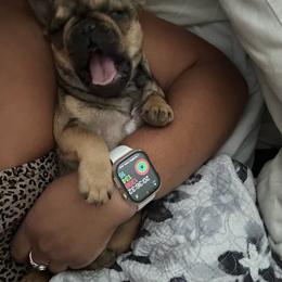 Tango - Fawn female French Bulldog puppy in Roanoke Rapids, North Carolina from Ferrell’s Frenchies