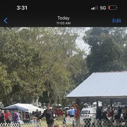 Cane Corso Puppies from Valyrian Cane Corsos