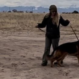 German Shepherd All Grown Up from Jimeni GSD