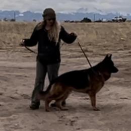 German Shepherd All Grown Up from Jimeni GSD