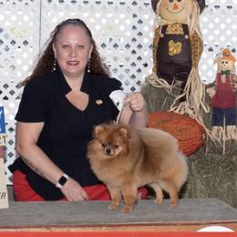Ginger - Pomeranian