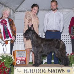 Ruthie - Berger Picard