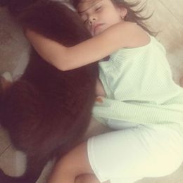 Miniature American Shepherd Puppies from Eagles Landing Miniature American Shepherds