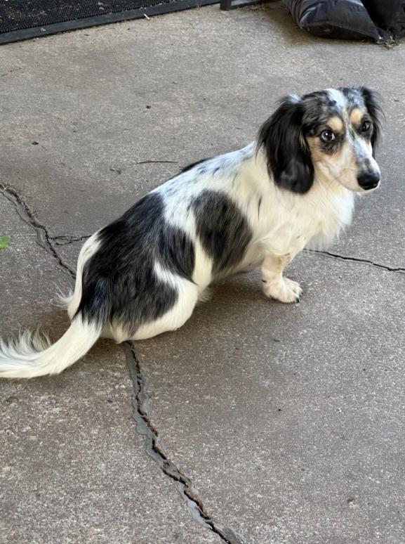Cosmo