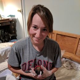 Bernedoodle Puppies from Bernedoodles of the Ozarks