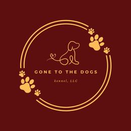 Yorkshire Terriers from Gone to the Dogs Kennel