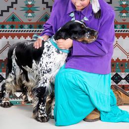Collie and English Springer Spaniel All Grown Up from Briarcreek