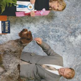 Uma - Wirehaired Pointing Griffon