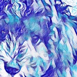 Assorted Doodle Crosses from This Land Delightful Doodles